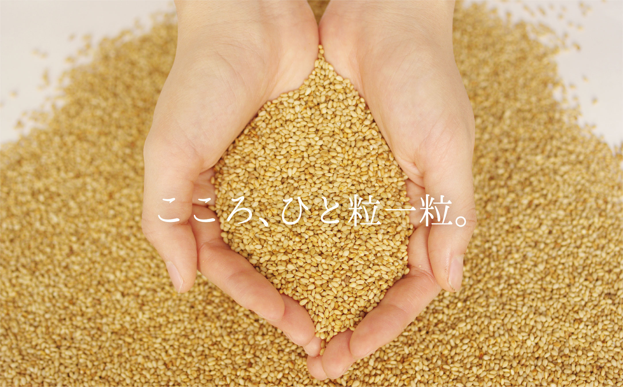 ＜定期便＞九鬼産業 太白純正胡麻油1650ｇ×1本【４回発送】創業明治19年 ごま油の老舗「九鬼」 いつもの味を上質に変えるごま油。老舗 ゴマ油 胡麻油 ごま油 ドレッシング 調味料 料理 お祝い 贈答品 贈り物 ギフト ミシュラン 2つ星の割烹でも使用 四日市 四日市市 四日市市ふるさと納税