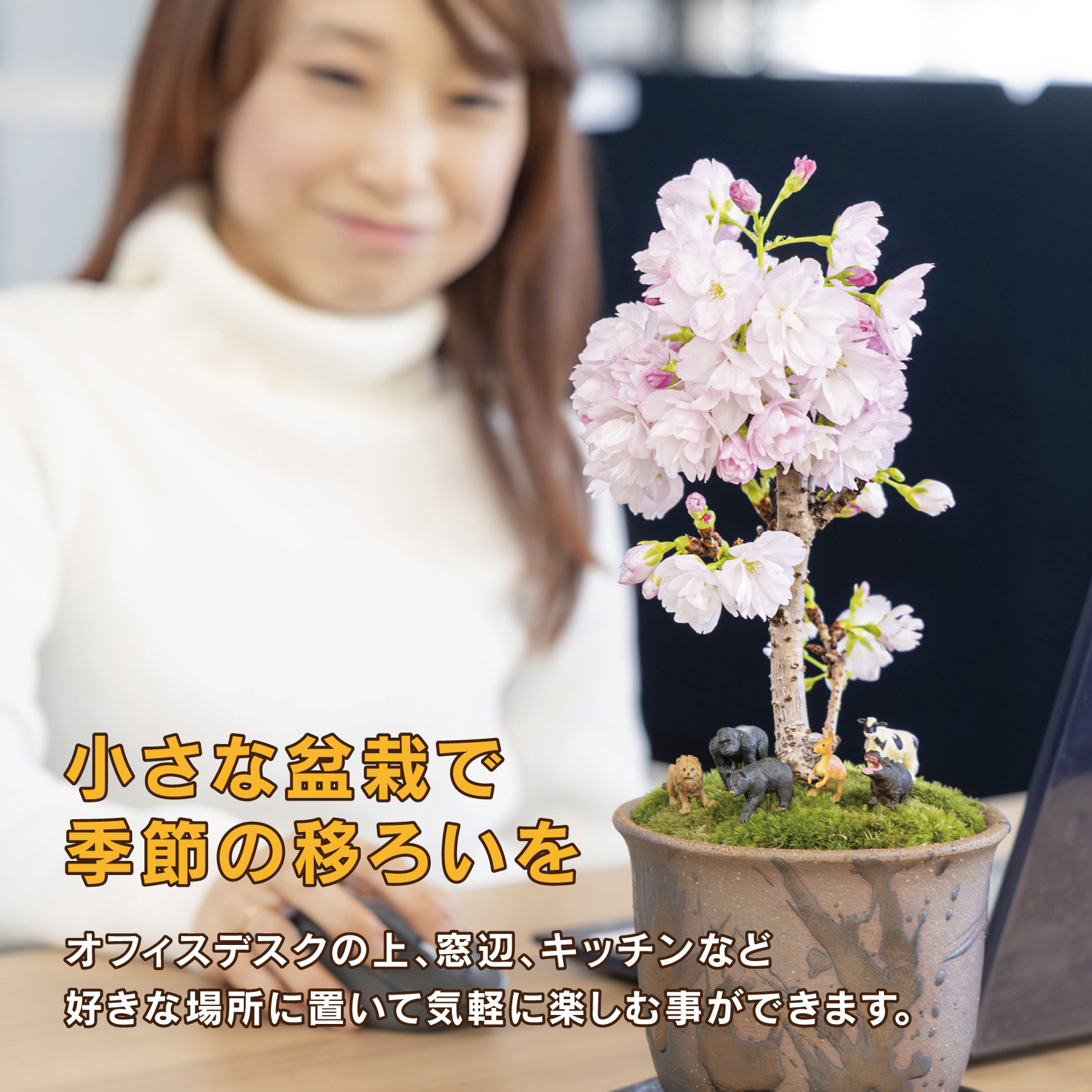 「デスクトップ盆栽」という新提案を四日市から（ミニチュアあり）