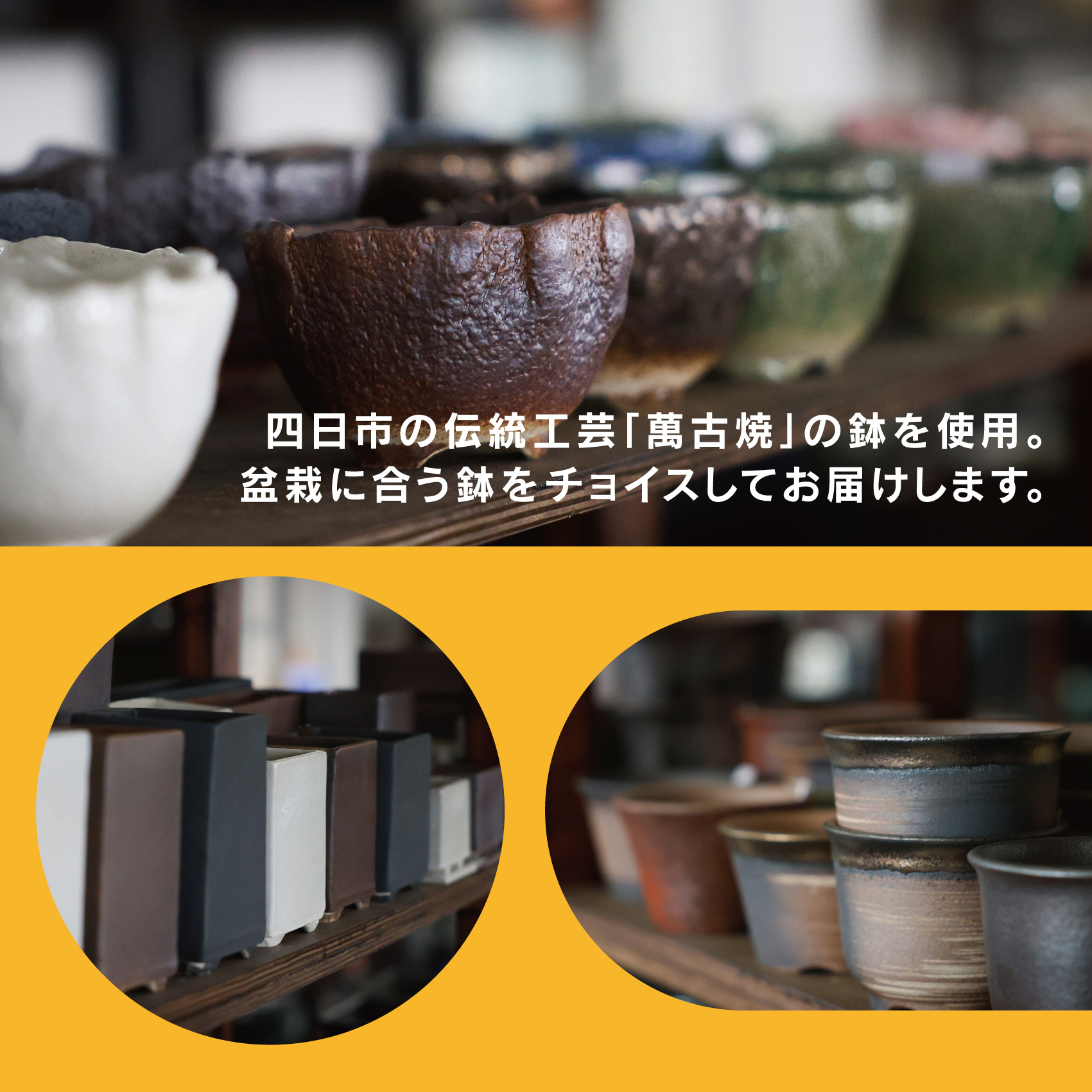 「デスクトップ盆栽」という新提案を四日市から（ミニチュアあり）