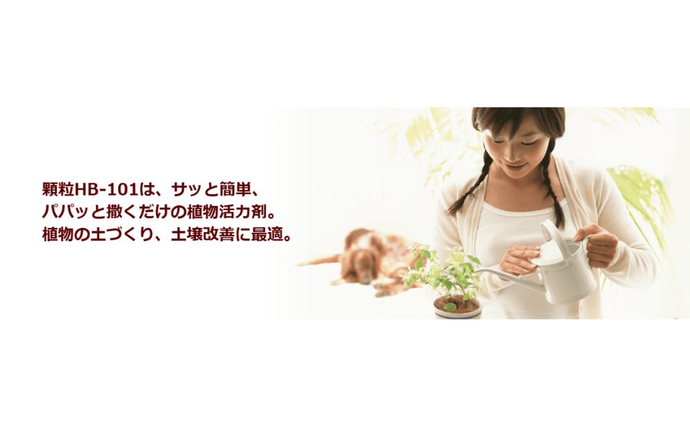 野菜作りや園芸に。プロご用達「HB-101」 500cc 1本