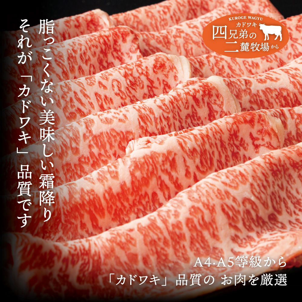A4･A5「二麓（にろく）霜降り」黒毛和牛（大判）ローススライス 500g（250g×2） ニセコ連峰と鈴鹿山脈、二つの麓（ふもと）で育てた脂の質にこだわった美味しい霜降りをリーズナブルに│牛肉 国産牛 ブランド牛 冷凍便 年末年始 お正月 焼肉 しゃぶしゃぶ すき焼き 三重県 四日市市 ふるさと納税