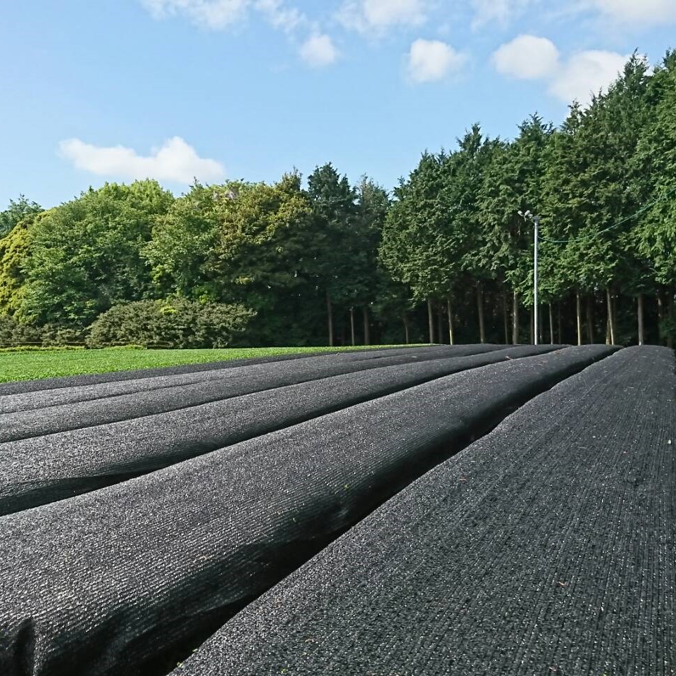 ウールで育てたお茶 お試しセット（かぶせ茶、ほうじ茶）マルシゲ清水製茶【お茶 茶 飲料 ギフト 贈り物 プレゼント 三重県 四日市 四日市市 】