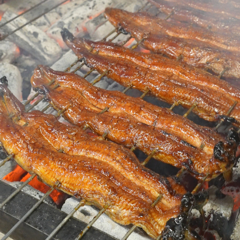 うな勢　うなぎ蒲焼 1本
