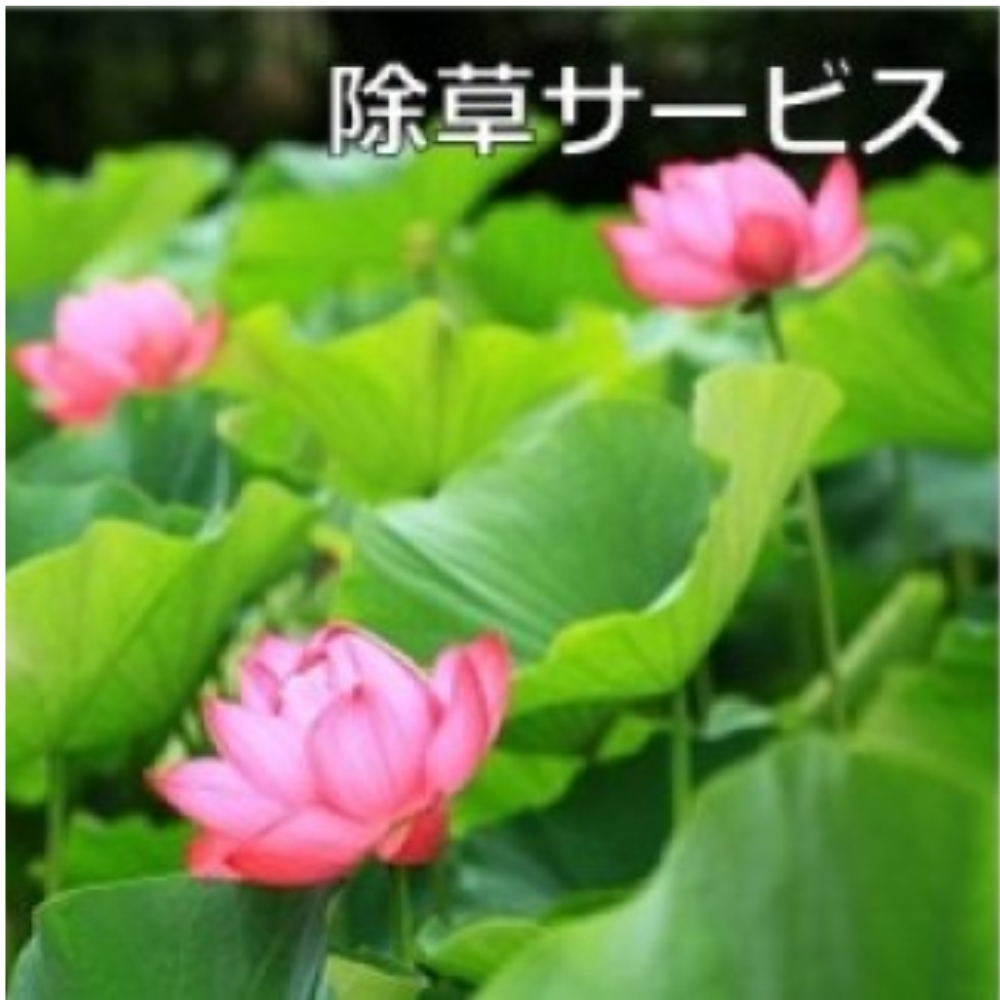 ご先祖見守りサービス：除草サービス～お墓の管理をお手伝いします～
