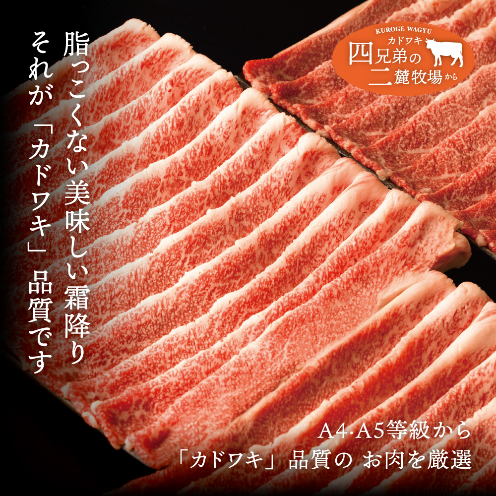 A4･A5「二麓（にろく）霜降り」黒毛和牛（大判）切り落とし 1.5kg（250g×6）ニセコ連峰と鈴鹿山脈、二つの麓（ふもと）で育てた脂の質にこだわった美味しい霜降りをリーズナブルに│牛肉 国産牛 ブランド牛 冷凍便 大容量 年末年始 お正月 焼肉 しゃぶしゃぶ すき焼き 三重県 四日市市 ふるさと納税