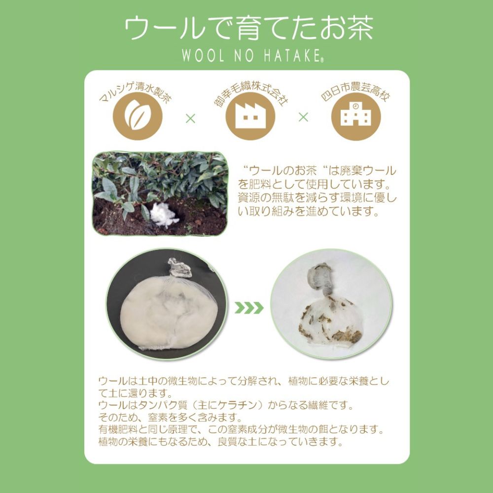 ウールで育てたお茶 お試しセット（かぶせ茶、ほうじ茶）マルシゲ清水製茶【お茶 茶 飲料 ギフト 贈り物 プレゼント 三重県 四日市 四日市市 】