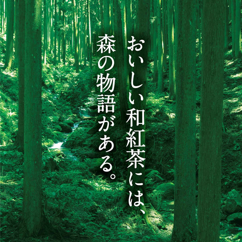 森からの和紅茶　はじまり缶（15袋入）〈紅茶 お茶 茶 茶葉 和紅茶 缶 飲料〉56210462