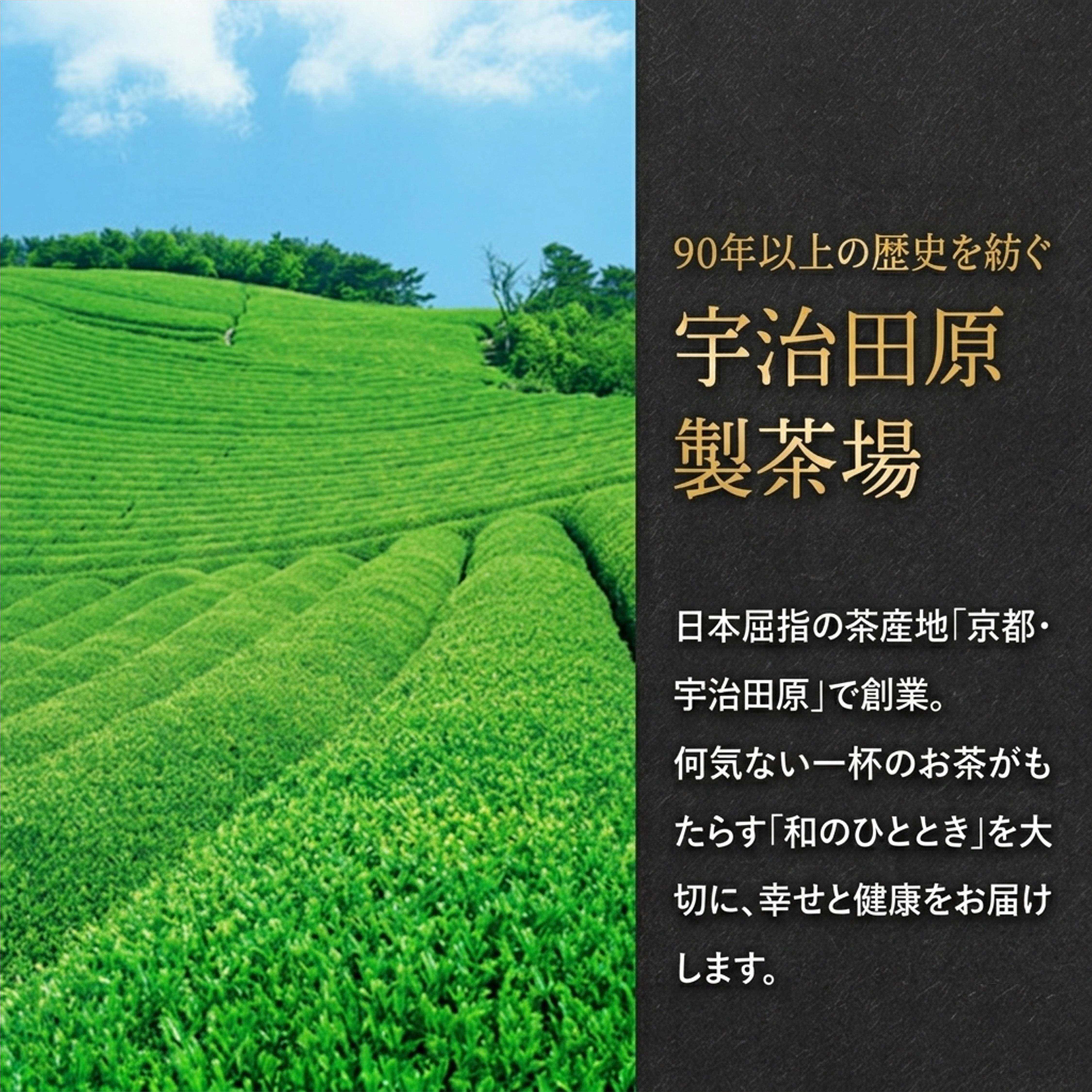 宇治抹茶入玄米茶 1kg〈お茶 茶 緑茶 煎茶 宇治抹茶 抹茶 玄米茶 茶葉 抹茶入り玄米茶〉  56210006