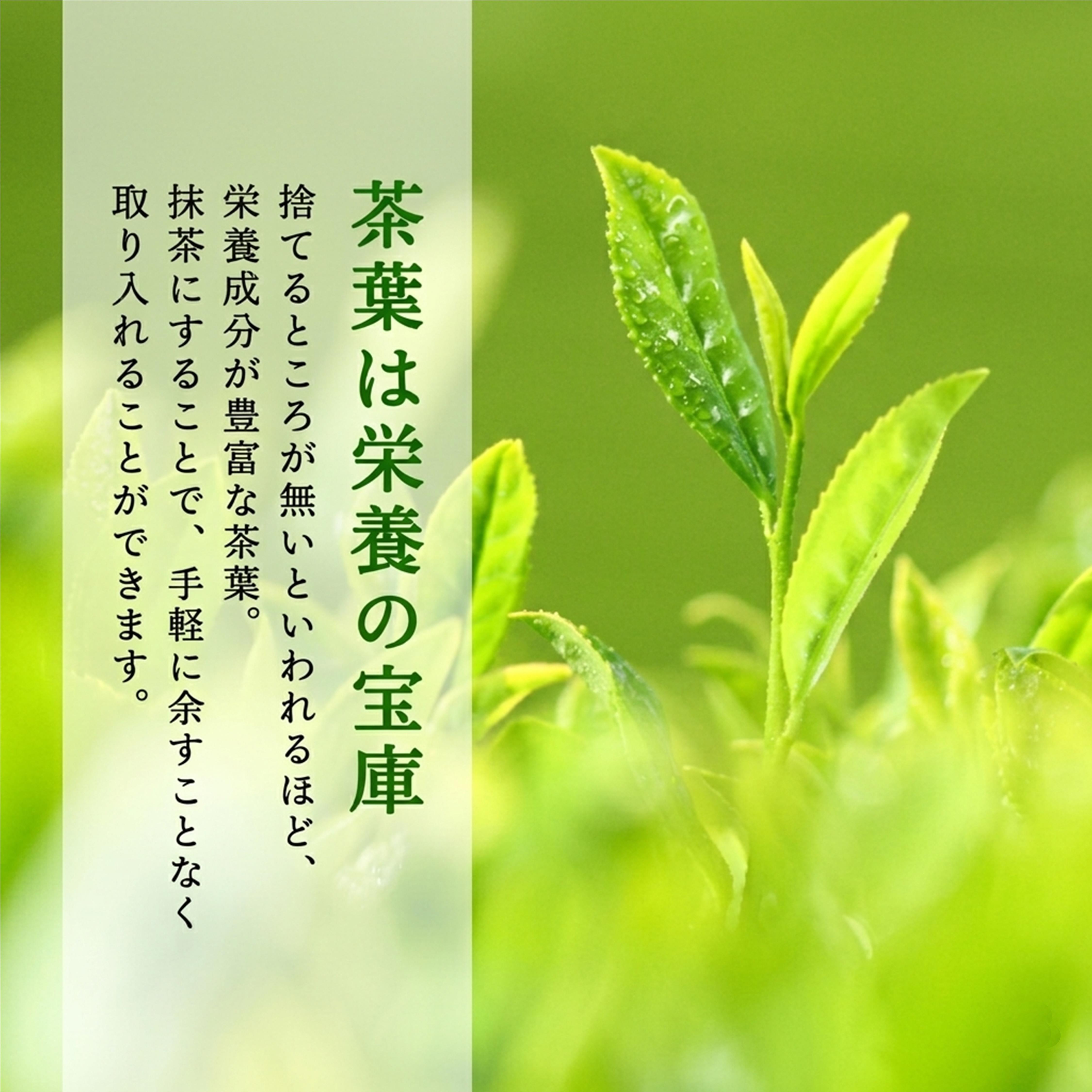 お抹茶いっぷくセット〈宇治抹茶 抹茶  緑茶  お茶 粉末 茶道 セット 飲料 陶器〉  56210002