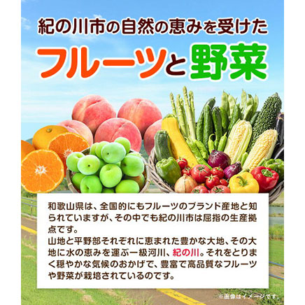 紀の川市の恵み 旬のフルーツ＆野菜セット 計3~5品《30日以内に出荷予定(土日祝除く)》