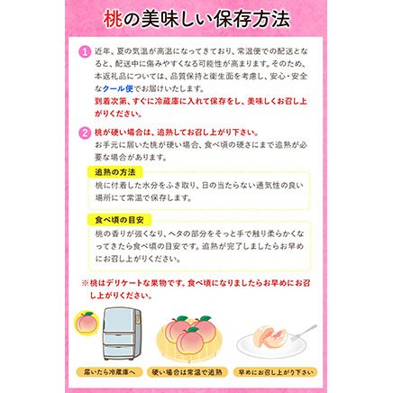 【ふるさと納税】紀の里の桃  約2kg(6〜8玉)《2026年6月中旬-8月中旬頃出荷》桃 もも 果物 白鳳 日川白鳳  清水白桃 川中島白桃 なつっこ
