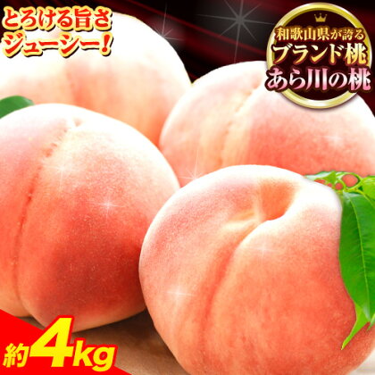 桃【アフター保証付】～とろっとジューシー「ブランド桃」～あら川の桃 約4kg(10-15玉入り) お届け時期に合わせた品種を厳選してお届けいたします！《2026年6月中旬-8月中旬頃出荷》