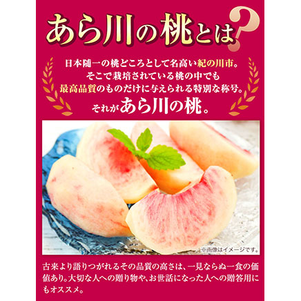 桃【アフター保証付】～とろっとジューシー「ブランド桃」～あら川の桃 約4kg(10-15玉入り) お届け時期に合わせた品種を厳選してお届けいたします！《2026年6月中旬-8月中旬頃出荷》