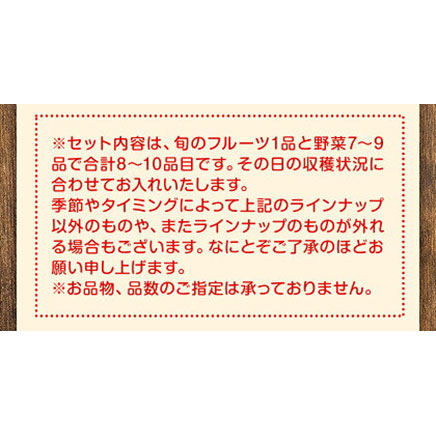 紀の川市の恵み 旬のフルーツ＆野菜セット 計8～10品《30日以内に出荷予定(土日祝除く)》
