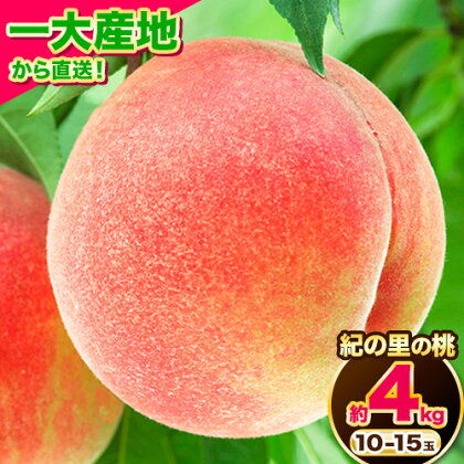 桃 ～とろける甘さ～ 紀の里の桃 約4kg(10-15玉入り)《6月中旬-8月中旬頃出荷》
