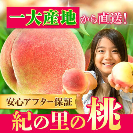 【ふるさと納税】紀の里の桃  約2kg(6〜8玉)《2026年6月中旬-8月中旬頃出荷》桃 もも 果物 白鳳 日川白鳳  清水白桃 川中島白桃 なつっこ
