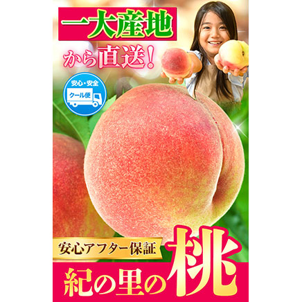 【ふるさと納税】紀の里の桃  約2kg(6〜8玉)《2026年6月中旬-8月中旬頃出荷》桃 もも 果物 白鳳 日川白鳳  清水白桃 川中島白桃 なつっこ