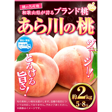 じゅわっと溢れる果汁と濃厚な甘さ ブランド品種 あら川の桃!! 桃 もも 紀州の名産 旬の桃厳選 約2kg 5-8玉入り 《2026年6月中旬-8月中旬頃出荷》