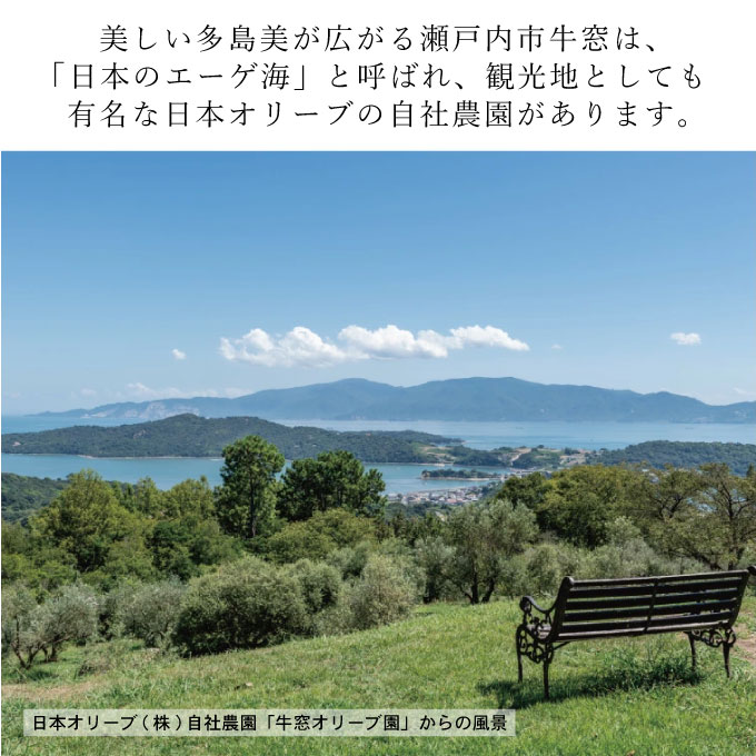 【予約受付】2026年8月末〜発送予定 エキストラバージン オリーブオイル 大容量 5L ×2本 瀬戸内市 オリーブオイル 大容量 5L ふるさと納税限定品 大容量 オリーブオイル 食用油 油 オリーブ油 おりーぶおいる
