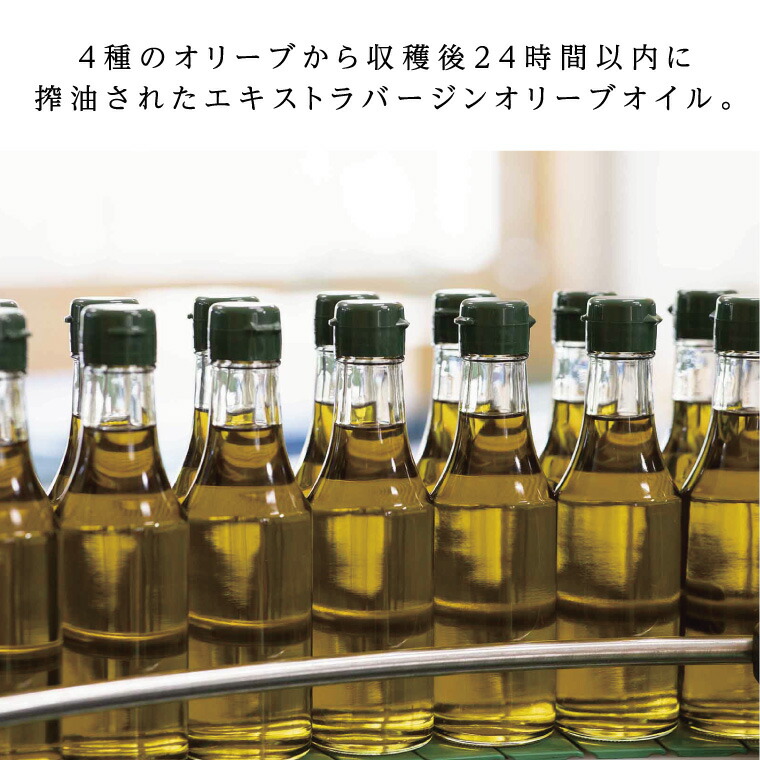 オリーブオイル 有機栽培 エキストラバージン オリーブ オイル ブレンド 6本 セット オーガニック オリーブオイル 油 オリーブ油 食用油 調味料 詰め合わせ おりーぶおいる エキストラバージン 贈り物 ギフト