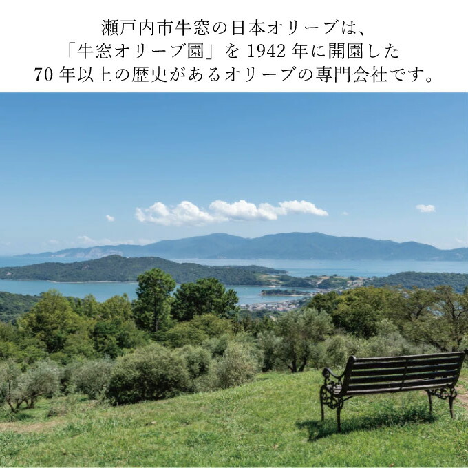 オリーブオイル 赤屋根ガーリックオリーブオイル 450g 3本 セット 油 オリーブ油 食用油 調味料 油 オリーブ油 食用油 ギフト オリーブオイル おりーぶおいる ギフト プレゼント 贈答 人気 岡山県 瀬戸内市