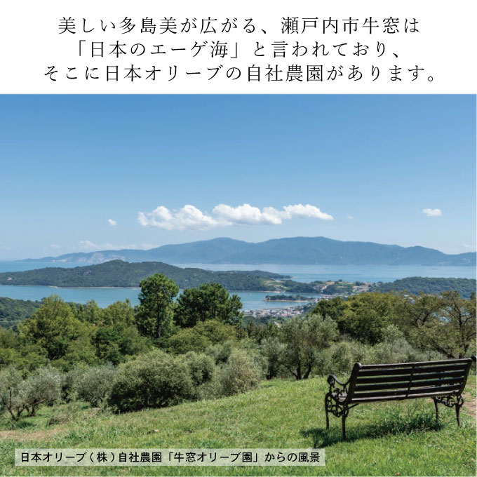 オリーブオイル 定期便 6ヶ月 有機栽培 エキストラバージン オリーブ オイル シングル 2本 セット オリーブオイル 油 オリーブ油 食用油 調味料 詰め合わせ ギフト 贈り物 お楽しみ オーガニック 調味料 油 オリーブ油 食用油 ギフト オリーブオイル おりーぶおいる プレゼント 贈答 人気 岡山県 瀬戸内市