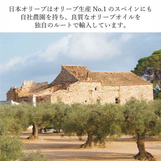 【予約受付】2026年8月末〜発送予定 エキストラバージン オリーブオイル 大容量 5L ×2本 瀬戸内市 オリーブオイル 大容量 5L ふるさと納税限定品 大容量 オリーブオイル 食用油 油 オリーブ油 おりーぶおいる