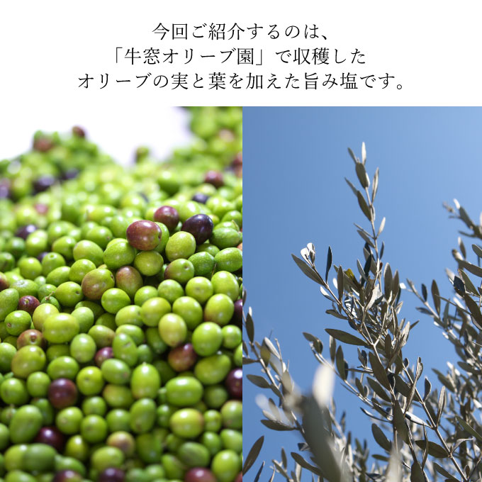 赤屋根オリーブの実と葉入り旨み塩2本セット[№5735-1843]