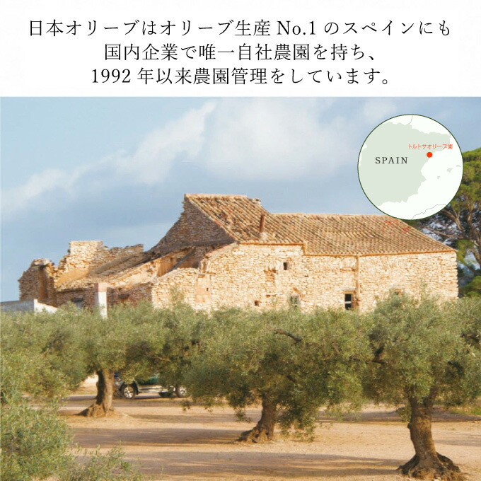 オリーブオイル 赤屋根ガーリックオリーブオイル 450g 3本 セット 油 オリーブ油 食用油 調味料 油 オリーブ油 食用油 ギフト オリーブオイル おりーぶおいる ギフト プレゼント 贈答 人気 岡山県 瀬戸内市