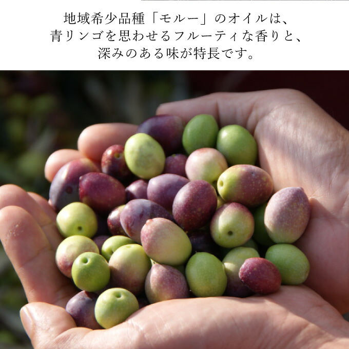 オリーブオイル エキストラバージン オリーブ オイル トルトサ 1本入箱×5セット 調味料 油 オリーブ油 食用油 ギフト セット
