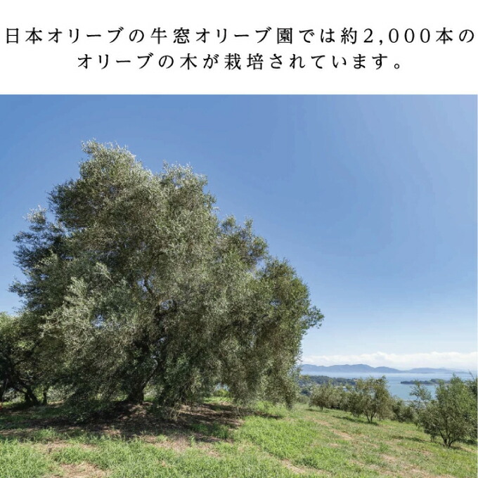 オリーブオイル 有機栽培 エキストラバージン オリーブ オイル 180g 3本 セット オーガニック 調味料 油 オリーブ油 食用油 ギフト オリーブオイル おりーぶおいる 調味料 食べ比べ セット ギフト 贈答 油 岡山県 瀬戸内市