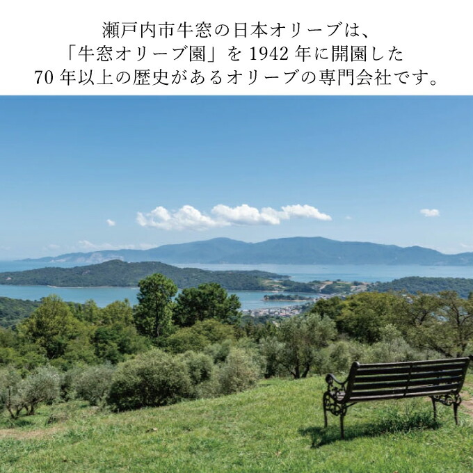 オリーブ オイル 3品 セット ( ガーリック ピュア ) 赤屋根 オリーブオイル 油 オリーブ油 食用油 調味料 詰め合わせ ギフト 贈り物