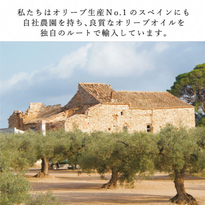 オリーブオイル 有機栽培 エキストラバージン オリーブ オイル ブレンド 6本 セット オーガニック オリーブオイル 油 オリーブ油 食用油 調味料 詰め合わせ おりーぶおいる エキストラバージン 贈り物 ギフト
