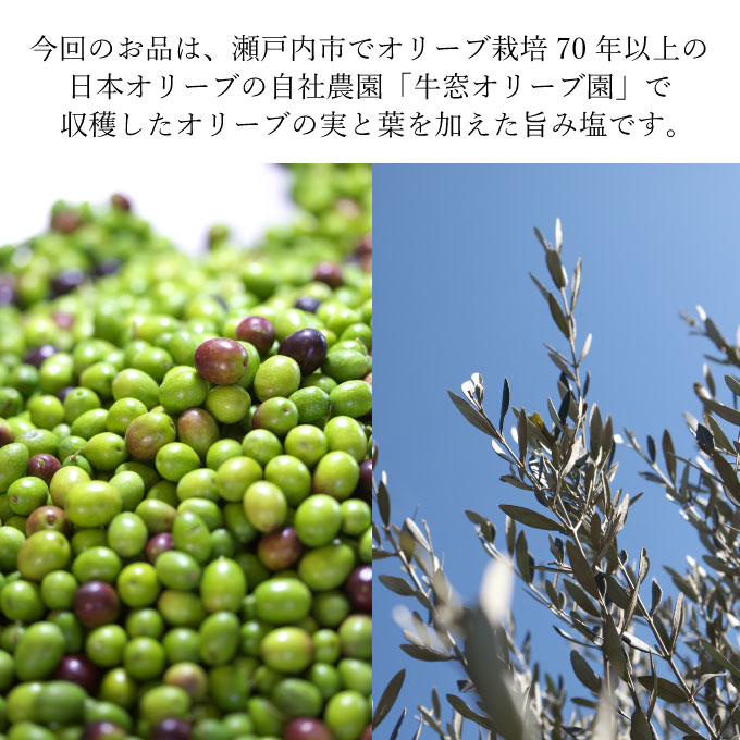 赤屋根オリーブの実と葉入り 旨み塩 ＆ 有機栽培オリーブオイル ブレンド セット オリーブオイル 塩 食用油 油 オリーブ オリーブ油 ギフト 贈り物