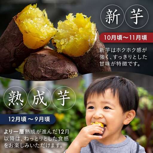 島津甘藷　熟成紅はるか 2kg(M～S)〔A7-002-2kg〕