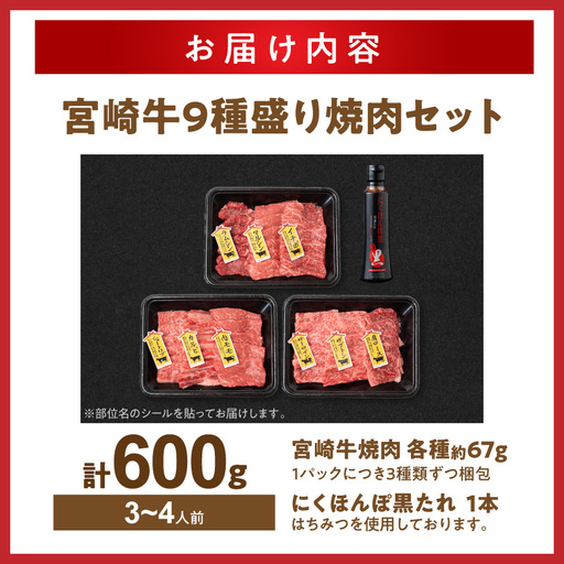 【数量限定】宮崎牛9種盛り焼肉セット〔31-006-600g〕