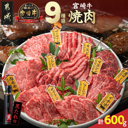 【数量限定】宮崎牛9種盛り焼肉セット〔31-006-600g〕