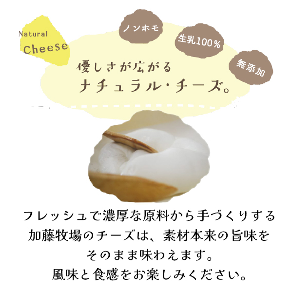 【国内コンテスト最優秀賞受賞！】ナチュラルチーズセット （カマンベールチーズ モッツァレラチーズ さけるチーズ チーズ 詰め合わせ 人気）
