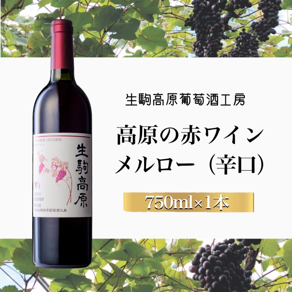 【高原の赤ワイン】メルロー（辛口） 国産 宮崎 ワイン お酒 酒 アルコール ブドウ ぶどう 赤ワイン
