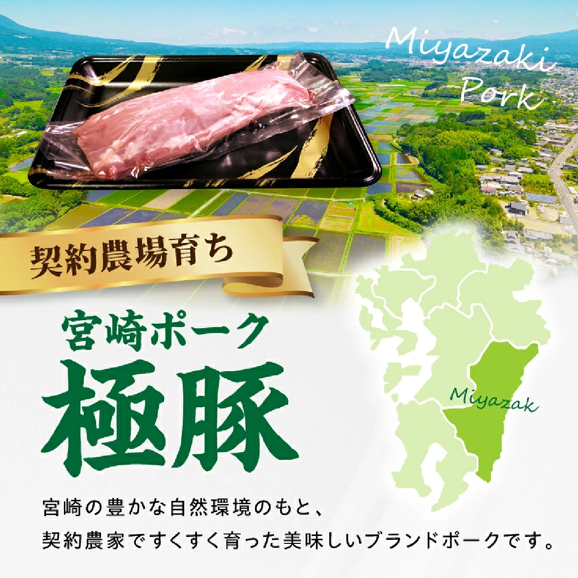 【産地直送】契約農場ですくすく育った宮崎ポーク極豚シャトーブリアンブロック肉 600g