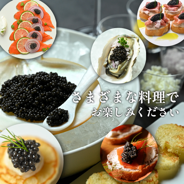 【定期便・全12回】＜国際線ファーストクラス採用＞宮崎キャビア1983 50g×12回（国産 キャビア 魚卵 宮崎県 宮崎 小林市 定期便）