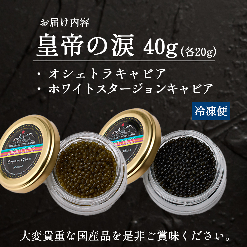 皇帝の涙2種食べ比べ（オシェトラ・ホワイトスタージョン）国産チョウザメキャビア