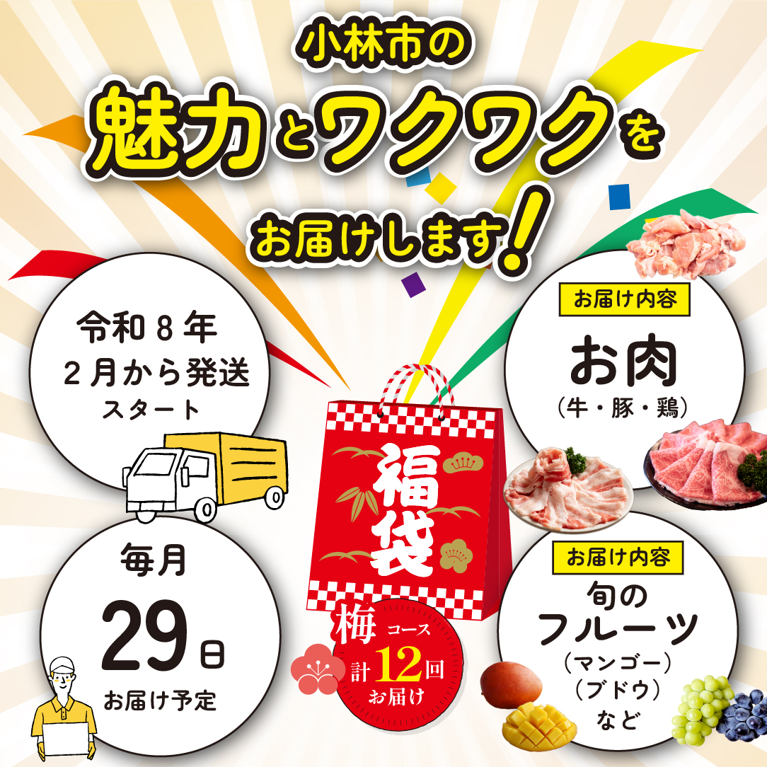 【定期便・全12回】新春おたのしみ 福袋 梅（牛肉 豚肉 鶏肉 果物 フルーツ 限定 2026 定期便 宮崎 小林市）