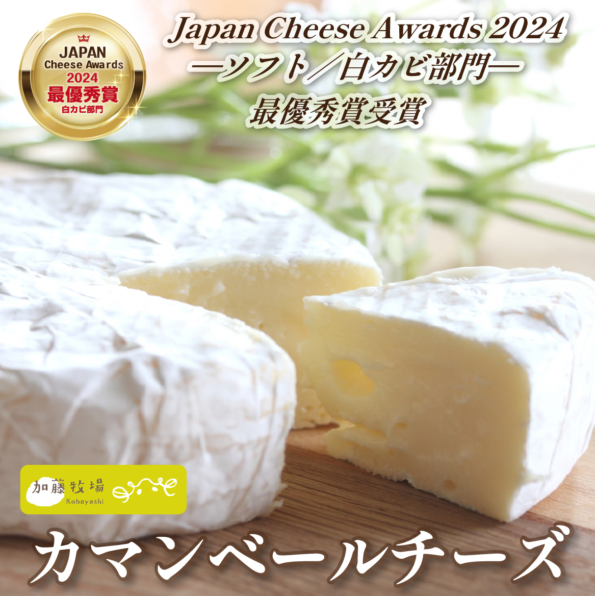 【国内コンテスト最優秀賞受賞！】カマンベールチーズ 1個 100g （チーズ 国産 乳製品 生乳 国産チーズ ノンホモ 手作り 人気）