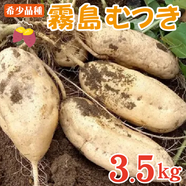 【希少品種】小林市産さつまいも「霧島むつき」3.5kg（さつま芋 希少 旬 訳あり 家庭用 焼き芋 大学いも お菓子）