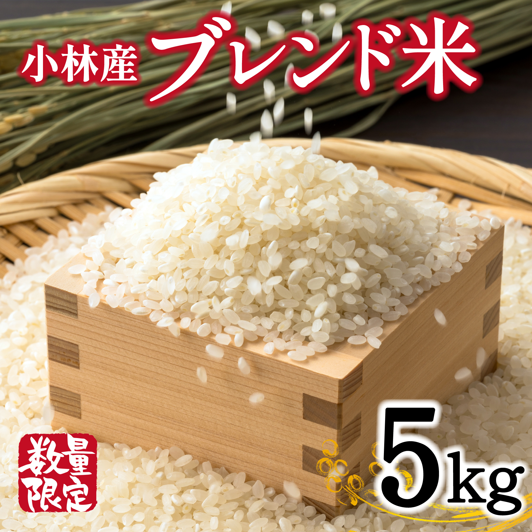【生活応援米】湧水で育った小林市産ブレンド米 5kg（5kg×1袋 お米 米 ブレンド米 白米 精米 家庭用）