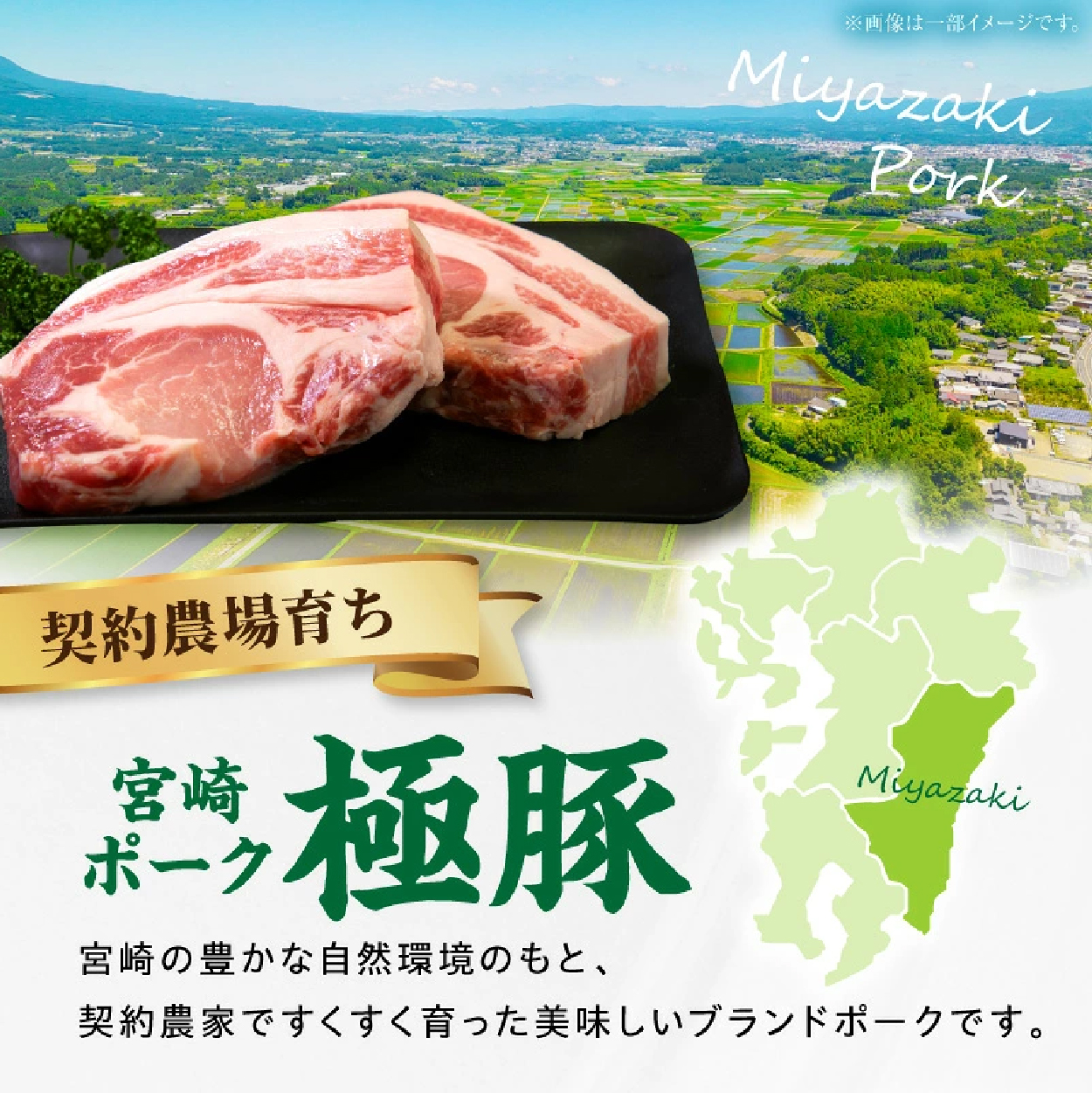 【産地直送・真空個包装】契約農場ですくすく育った宮崎ポーク極豚贅沢厚切りロースステーキ　300g×2枚