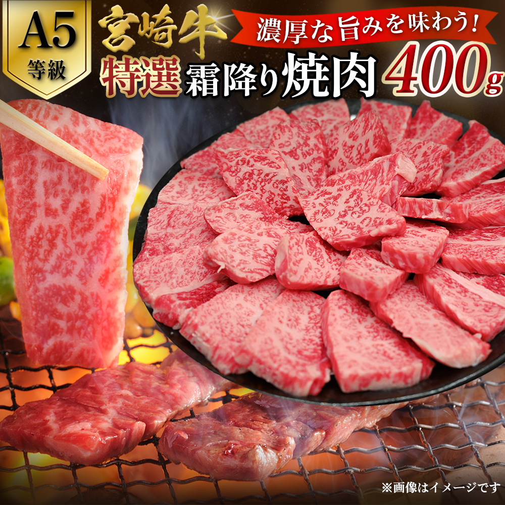 【A5等級】宮崎牛特選霜降り焼肉 （400g×1P） 宮崎牛 ブランド牛 和牛 牛肉 焼肉 特選和牛 霜降り A5 宮崎県 小林市