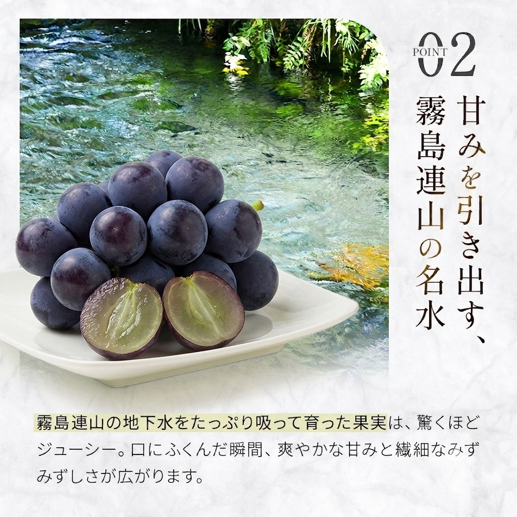 大粒・種なし ピオーネ（ニューピオーネ）2kg ぶどう 葡萄 フルーツ