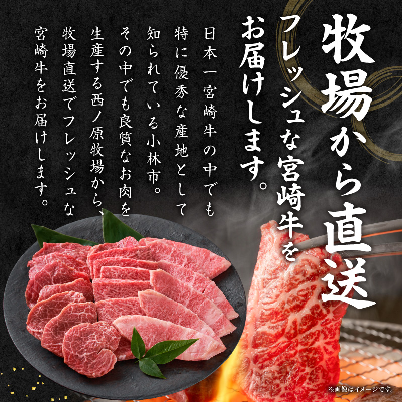 【西ノ原牧場直送】大人気！A4等級以上宮崎牛バラエティ焼肉用 300g（国産 国産牛 肉 牛肉 宮崎牛 黒毛和牛 お肉 焼肉 内閣総理大臣賞4大会連続受賞 A4 A5 モモ 特別提供）